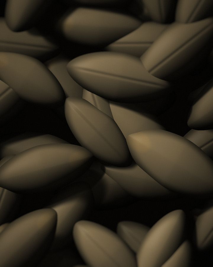 Barley kernels, close-up