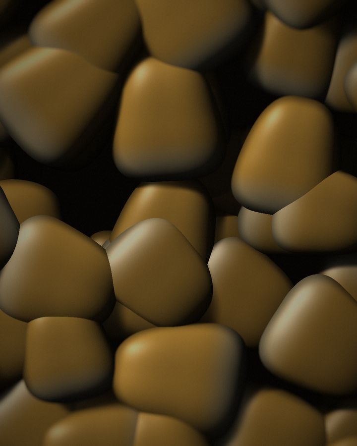 Corn / Maize kernels, close-up