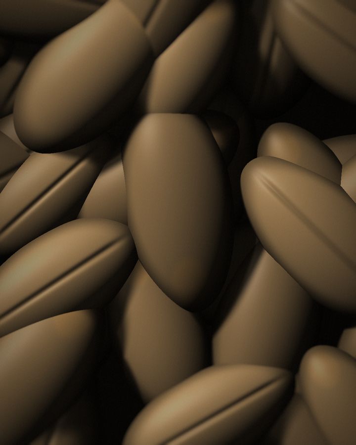 Wheat kernels, close-up